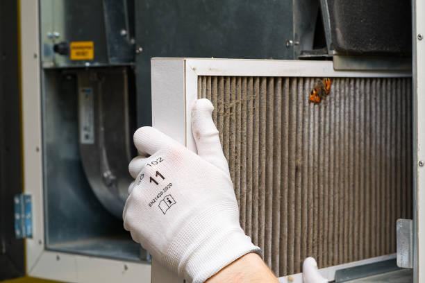 Best Dryer Vent Cleaning Services  in Fairview, GA