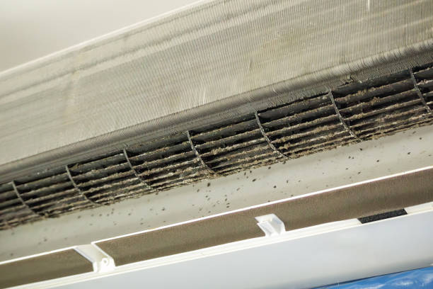 Best HVAC Duct Inspection Services  in Fairview, GA